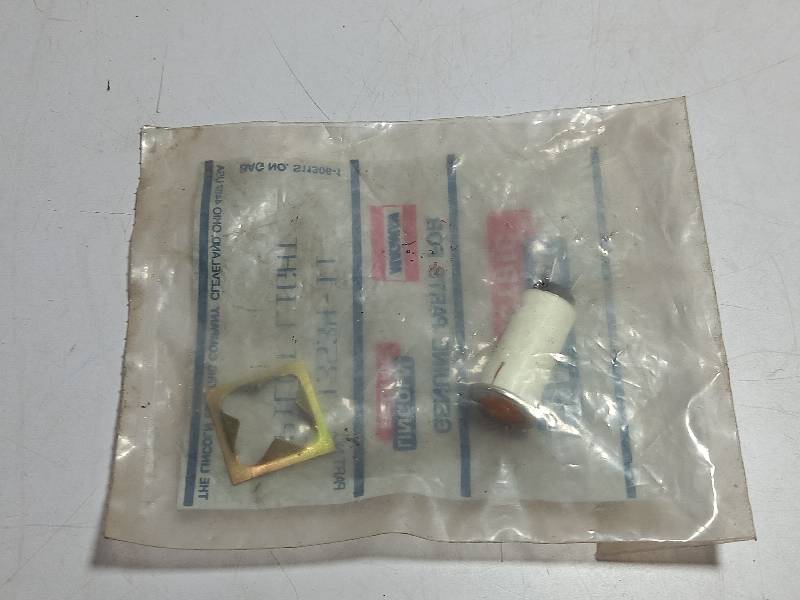Lincoln Electric T13534-11 Pilot Light